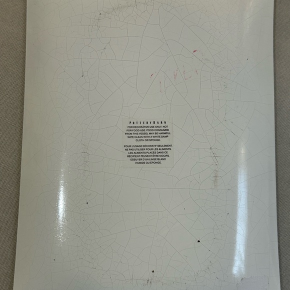 Pottery Barn Decorative Plate Camaleon Reptile Green 6.5”X10” Glass Art Decor - Picture 4 of 7